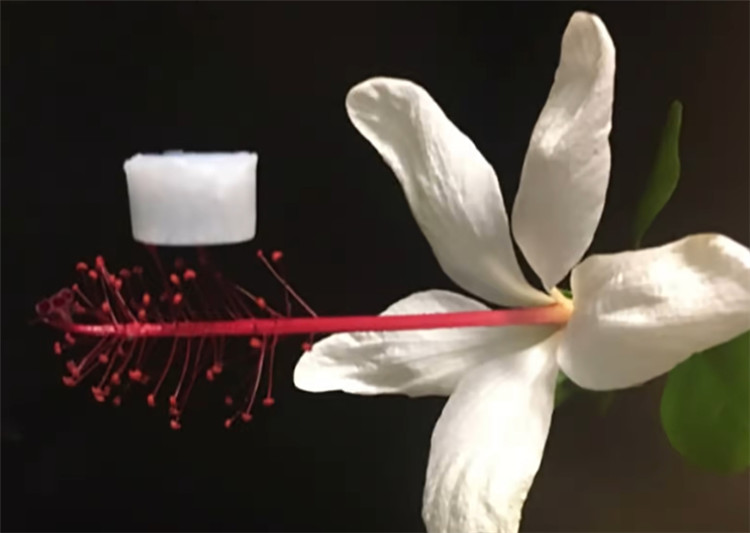 新型陶瓷氣凝膠可經(jīng)受劇烈的溫度波動